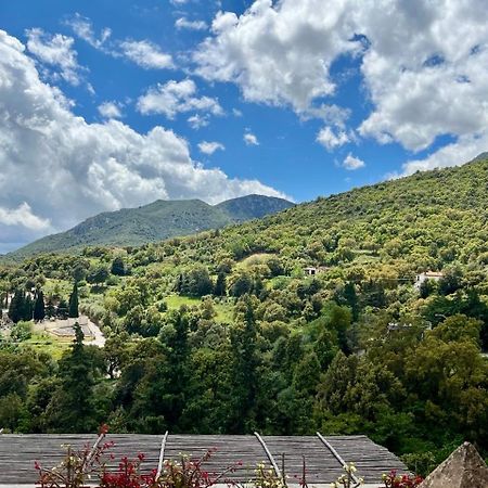 B&B Su Biancu - Sardinian Experience Urzulei Ngoại thất bức ảnh