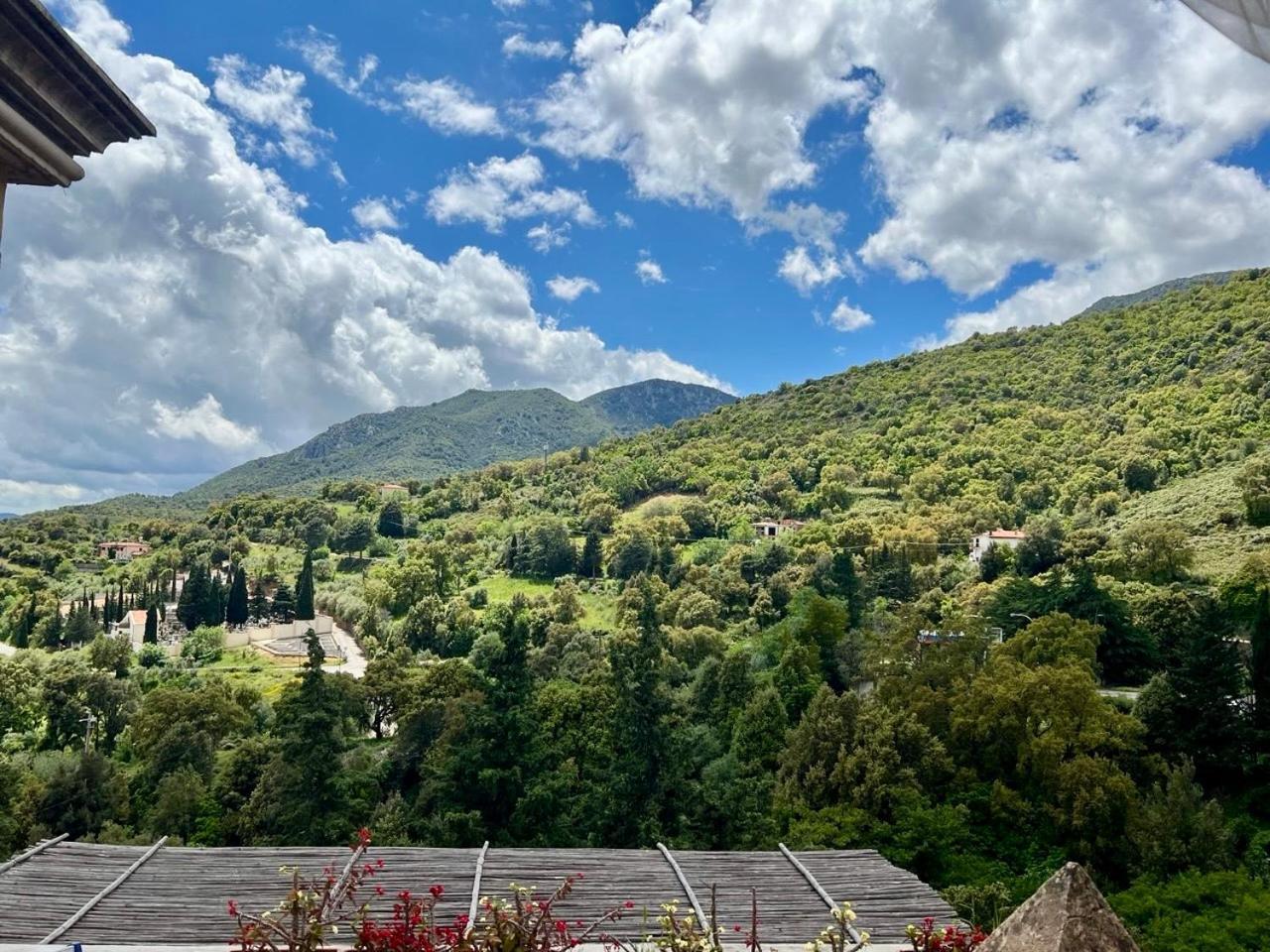 B&B Su Biancu - Sardinian Experience Urzulei Ngoại thất bức ảnh